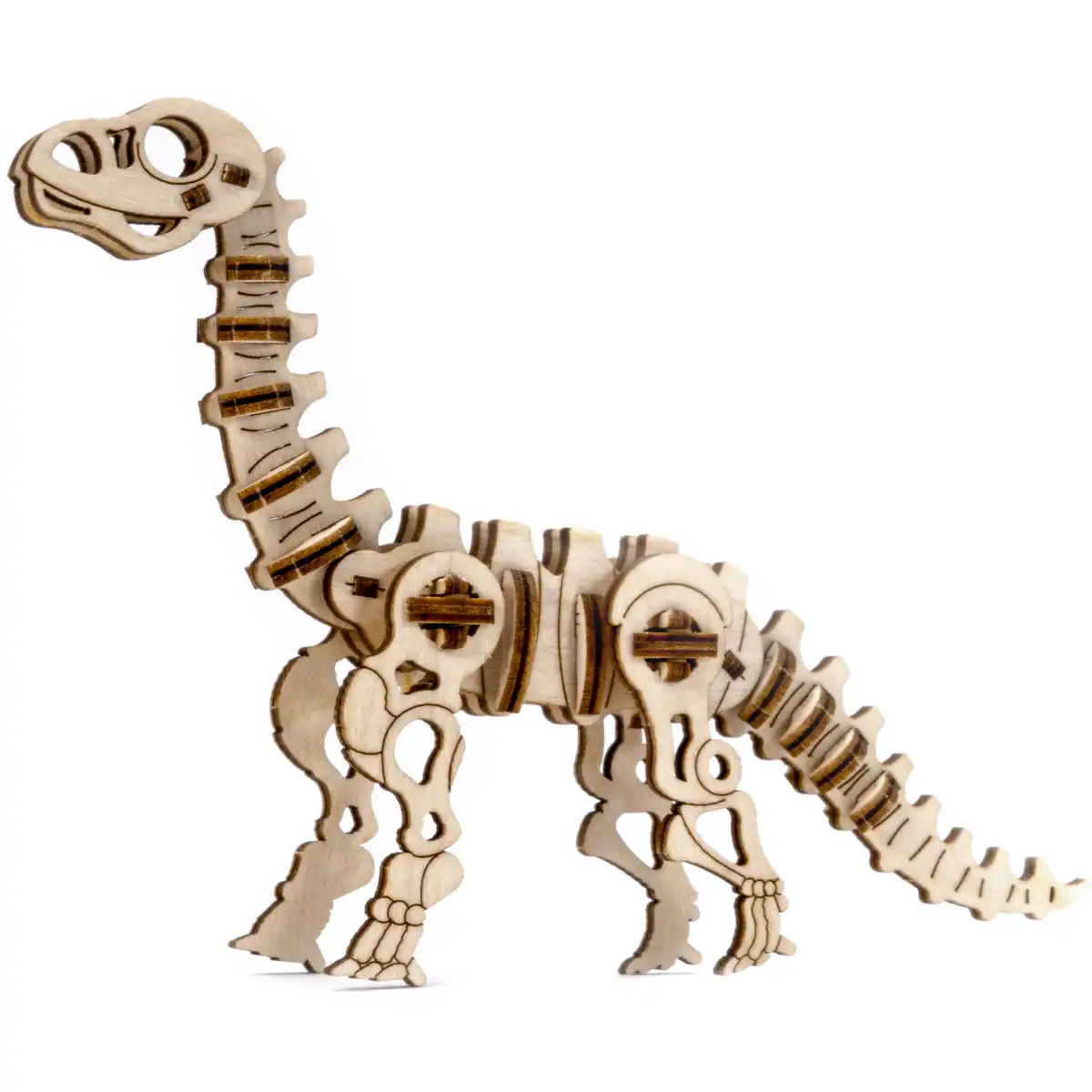 Diplodocus 3D Dinosaur