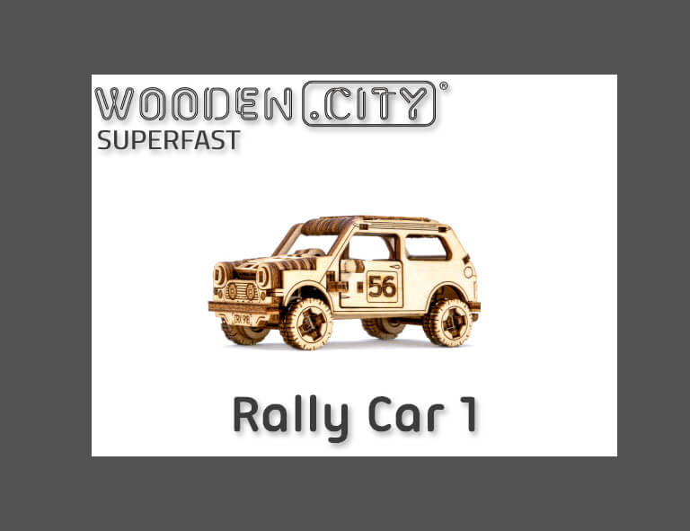 Rally Car 1