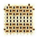 Wooden Puzzle 3D Game Checkers 6