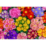 Wooden Puzzle 500 Blooming Flowers 1