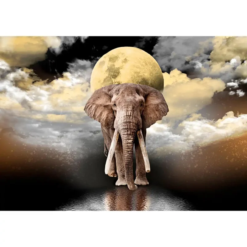Wooden Puzzle 1000 Elephant Dreams 9