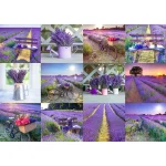 Wooden Puzzle 1000 Lavender France 9