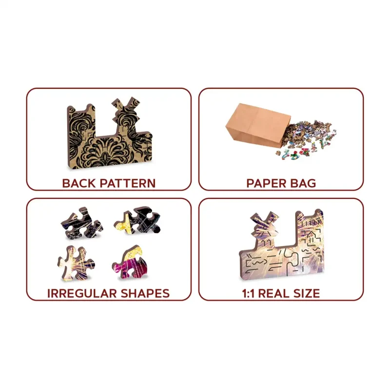 Wooden Puzzle 500 Paris By Night 1 - 5