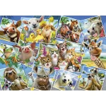 Animal Postcards 500 Wooden Puzzle 9