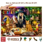 Wooden Puzzle 1000 Magical Library 3