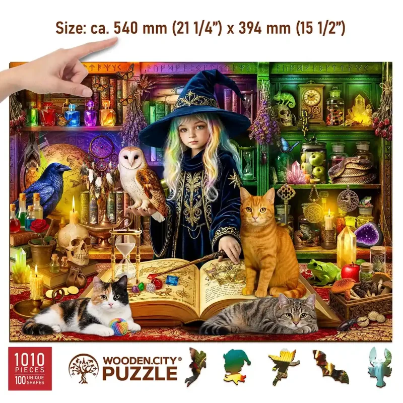 Wooden Puzzle 1000 Magical Library 3